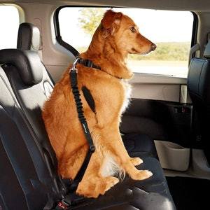 PupSafe™ Seat Belt - KOBI
