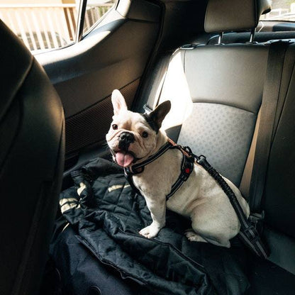 PupSafe™ Seat Belt - KOBI