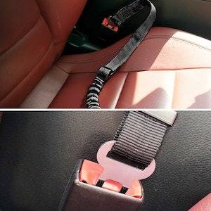 PupSafe™ Seat Belt - KOBI
